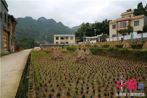 云南省富源黄泥河镇总人口_云南省地图