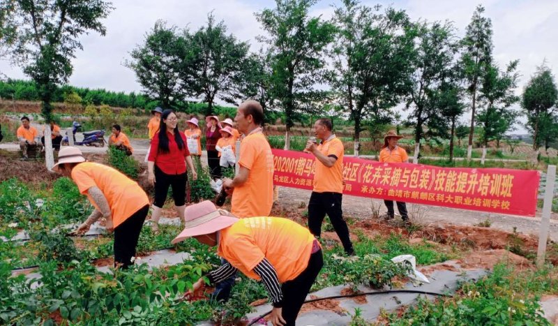 和田地区2020年GDP_和田地区地图(2)