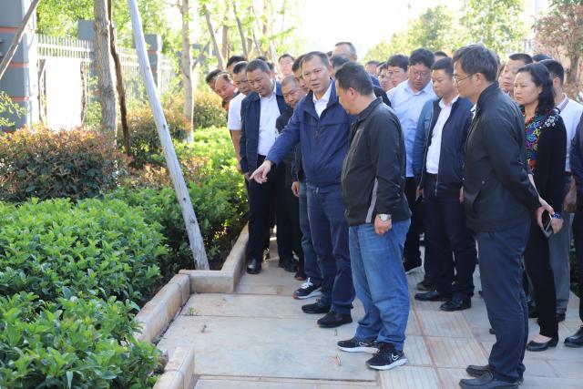 解天云:全面排查创文工作 确保问题无遗漏 整改无死角