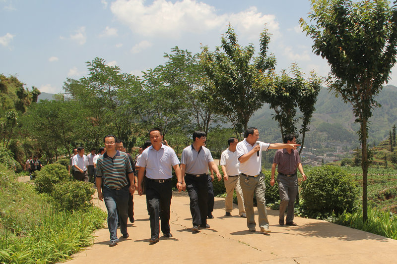 麒麟区政府考察团到宣威市田坝镇考察特色小城镇建设
