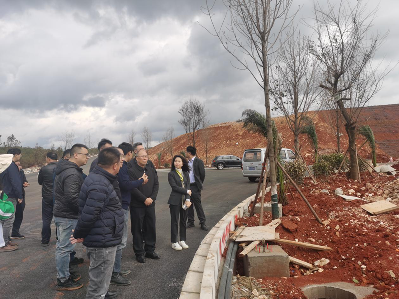 省工业和信息化厅到曲靖市调研化工园区